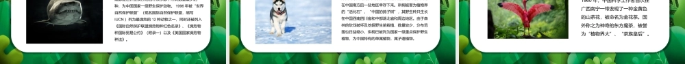 2022保护野生动植物PPT卡通简约风世界野生动植物日知识介绍课件模板.pptx