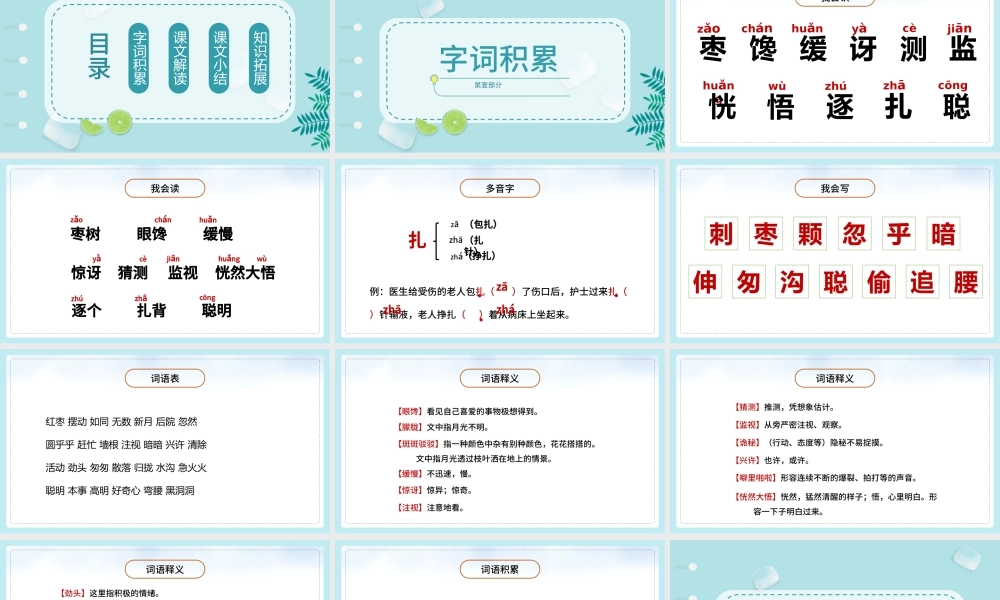 2022带刺的朋友PPT第23课小学三年级语文上册部编人教版教学课件.pptx