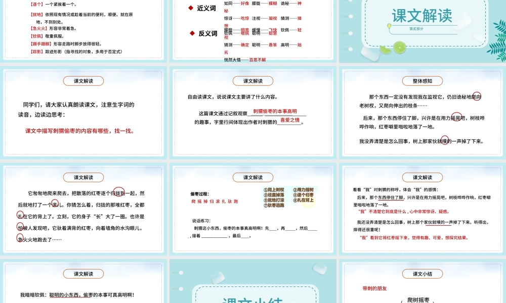 2022带刺的朋友PPT第23课小学三年级语文上册部编人教版教学课件.pptx