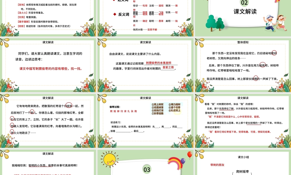 2022带刺的朋友PPT卡通风第23课小学三年级语文上册部编人教版教学课件.pptx