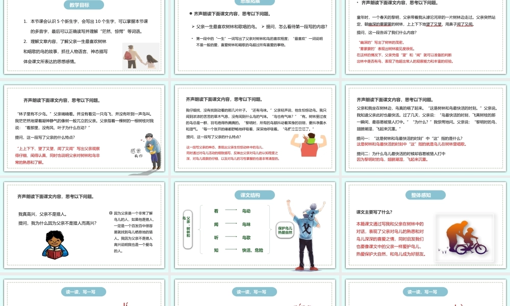 2022父亲、树林和鸟PPT第22课小学三年级语文上册部编人教版教学课件.pptx