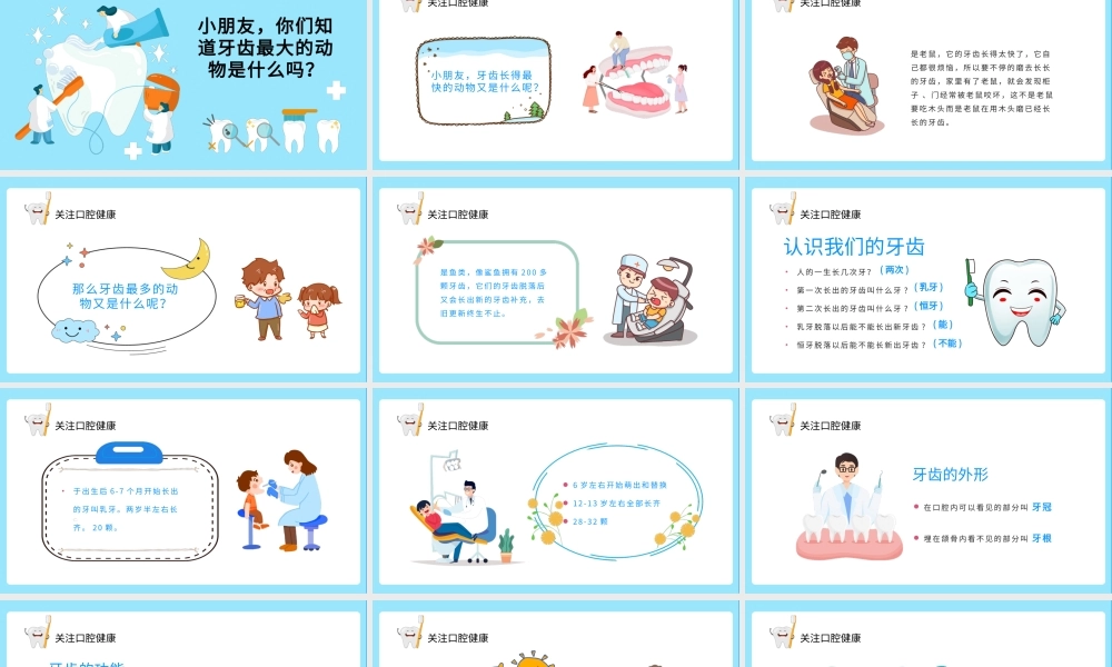 2022关注口腔健康PPT卡通风小学生口腔卫生保健知识讲座主题班会课件模板.pptx