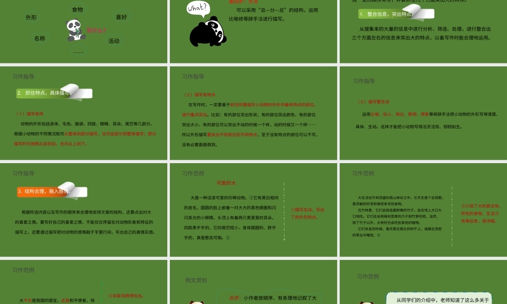 2022国宝大熊猫PPT习作小学三年级语文下册部编人教版教学课件.pptx