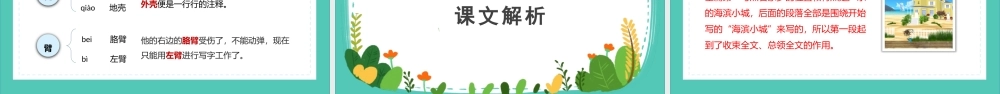 2022海滨小城PPT第19课小学三年级语文上册部编人教版教学课件.pptx