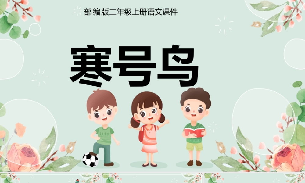 2022寒号鸟PPT课文第13课小学二年级语文上册部编人教版教学课件.pptx