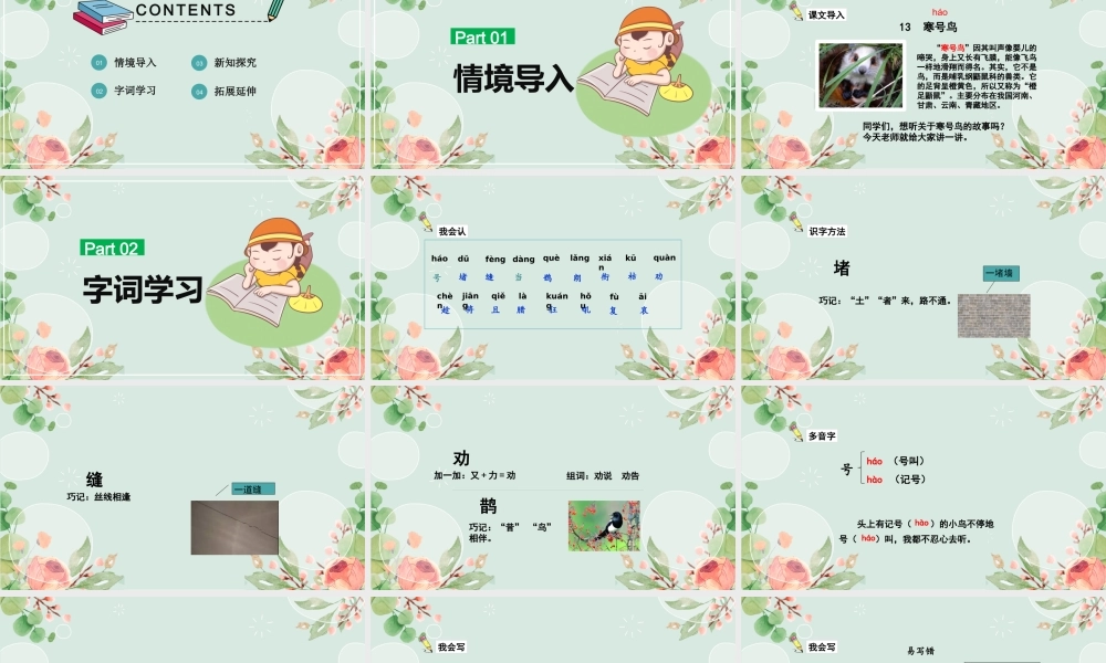 2022寒号鸟PPT课文第13课小学二年级语文上册部编人教版教学课件.pptx