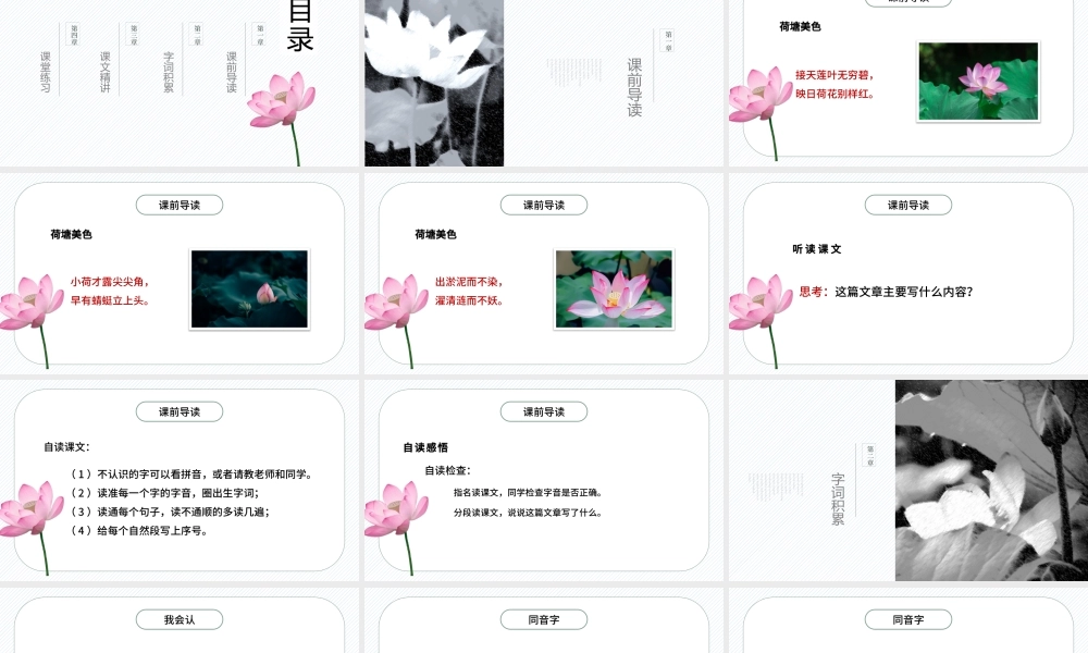 2022荷花PPT第3课小学三年级语文下册部编人教版教学课件.pptx