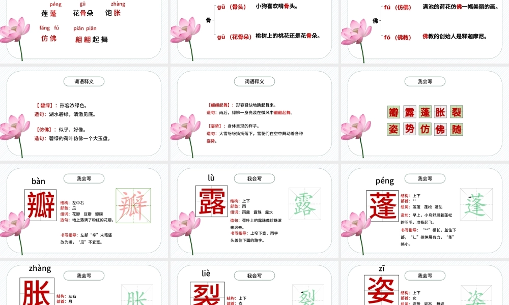2022荷花PPT第3课小学三年级语文下册部编人教版教学课件.pptx