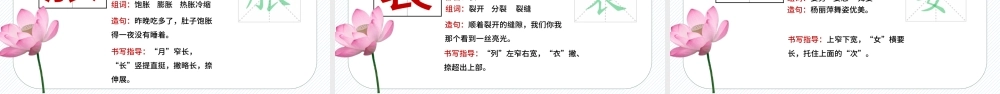 2022荷花PPT第3课小学三年级语文下册部编人教版教学课件.pptx