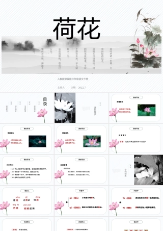 2022荷花PPT第3课小学三年级语文下册部编人教版教学课件.pptx