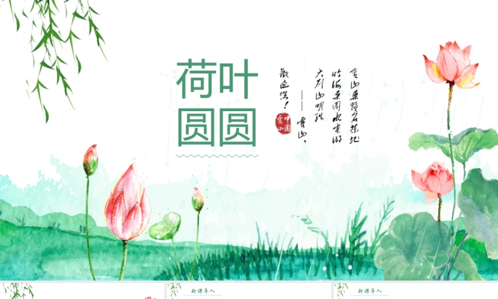 2022荷叶圆圆PPT简约小清新风人教版小学一年级语文下册第四章第13课课件（含配套教案）.pptx