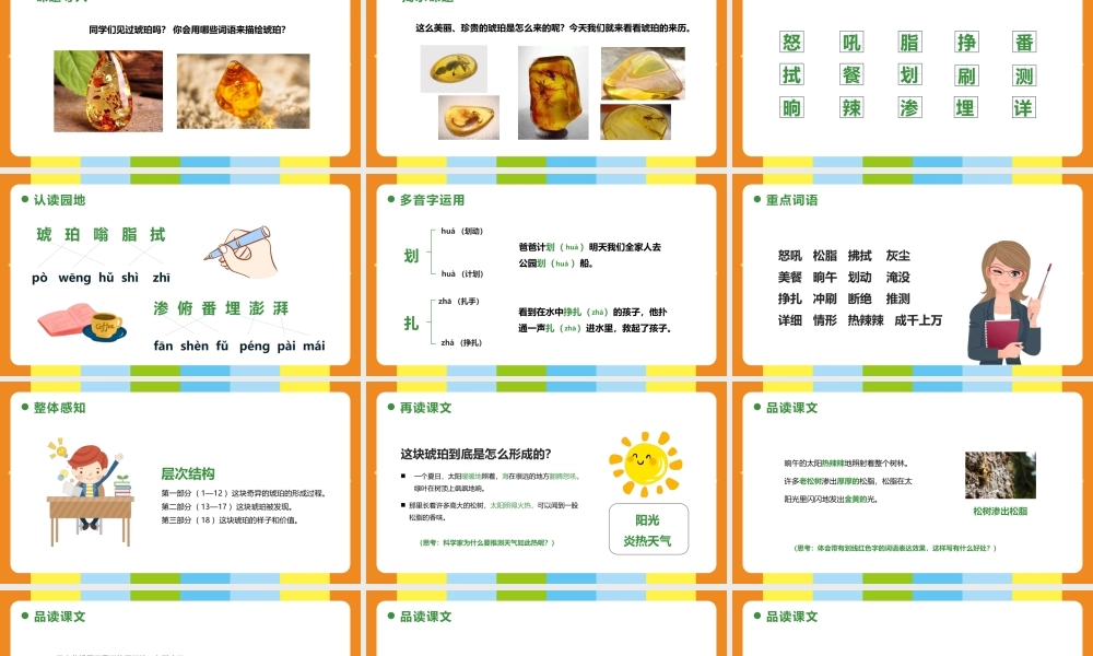 2022琥珀PPT第5课小学四年级语文下册部编人教版教学课件.pptx