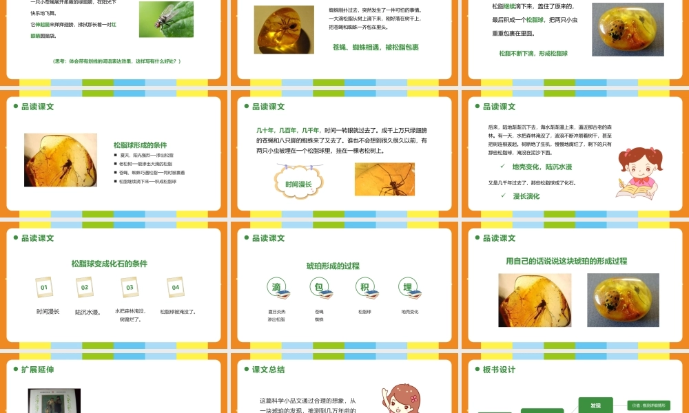 2022琥珀PPT第5课小学四年级语文下册部编人教版教学课件.pptx