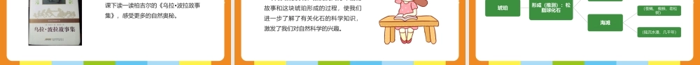 2022琥珀PPT第5课小学四年级语文下册部编人教版教学课件.pptx