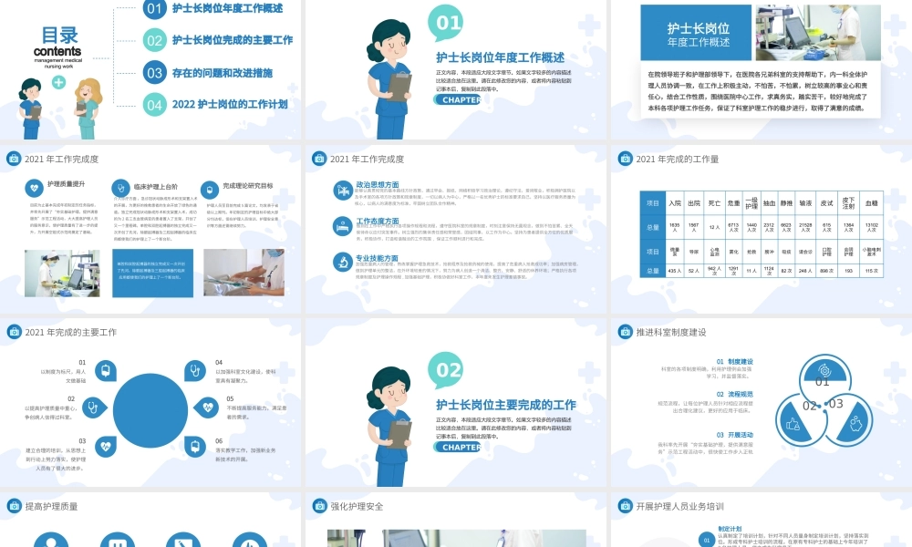 2022护士长年终总结PPT简洁商务完整框架内容年终总结专用PPT.pptx