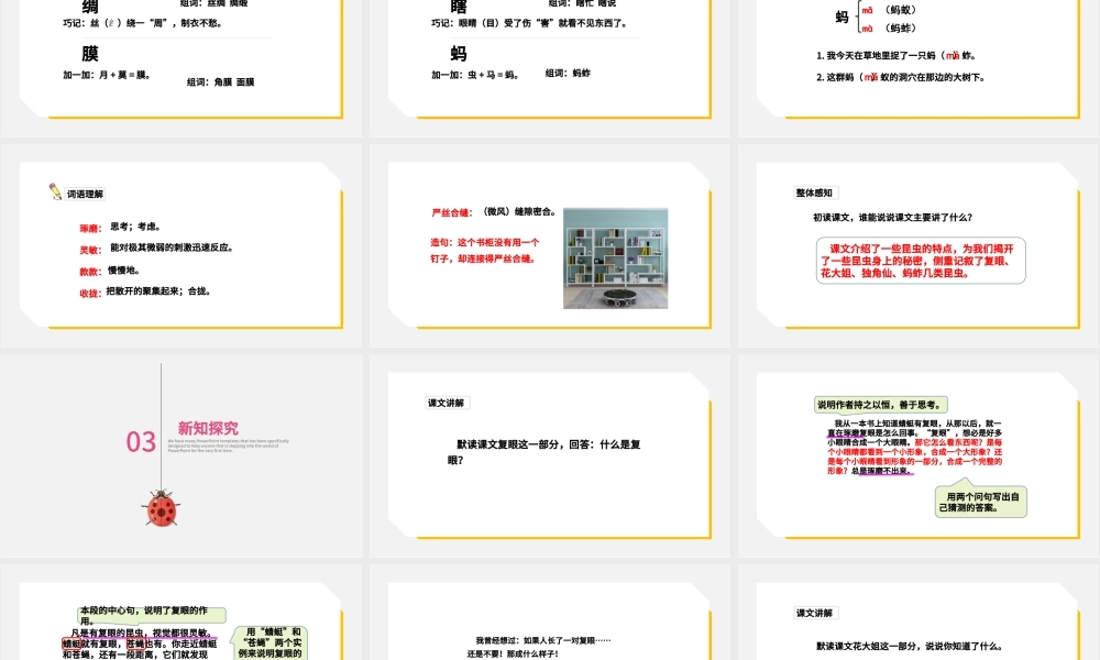 2022昆虫备忘录PPT第4课小学三年级语文下册部编人教版教学课件.pptx