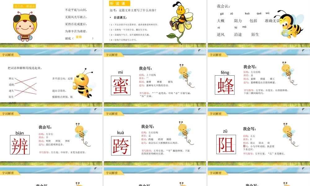 2022蜜蜂PPT第14课小学三年级语文下册部编人教版教学课件.pptx