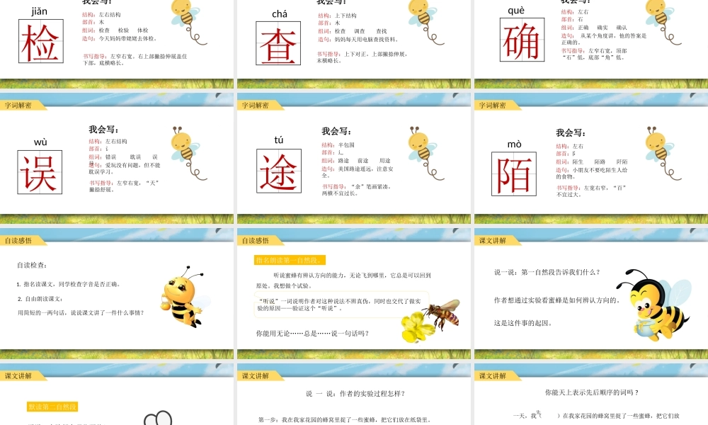 2022蜜蜂PPT第14课小学三年级语文下册部编人教版教学课件.pptx