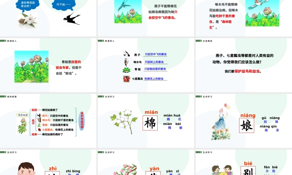 2022棉花姑娘PPT卡通插画风人教版小学一年级语文下册第四章第19课课件（含配套教案）.pptx