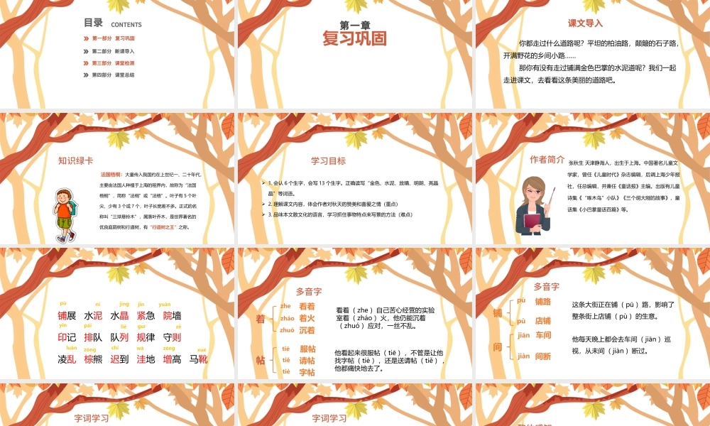 2022铺满金色巴掌的水泥道PPT第5课小学三年级语文上册部编人教版教学课件.pptx