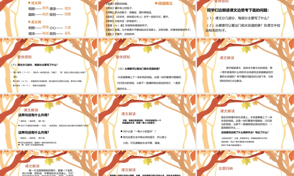 2022铺满金色巴掌的水泥道PPT第5课小学三年级语文上册部编人教版教学课件.pptx