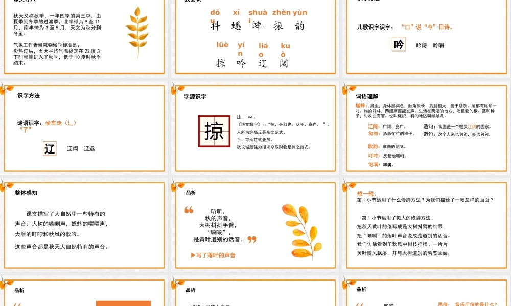 2022听听，秋的声音PPT第7课小学三年级语文上册部编人教版教学课件.pptx