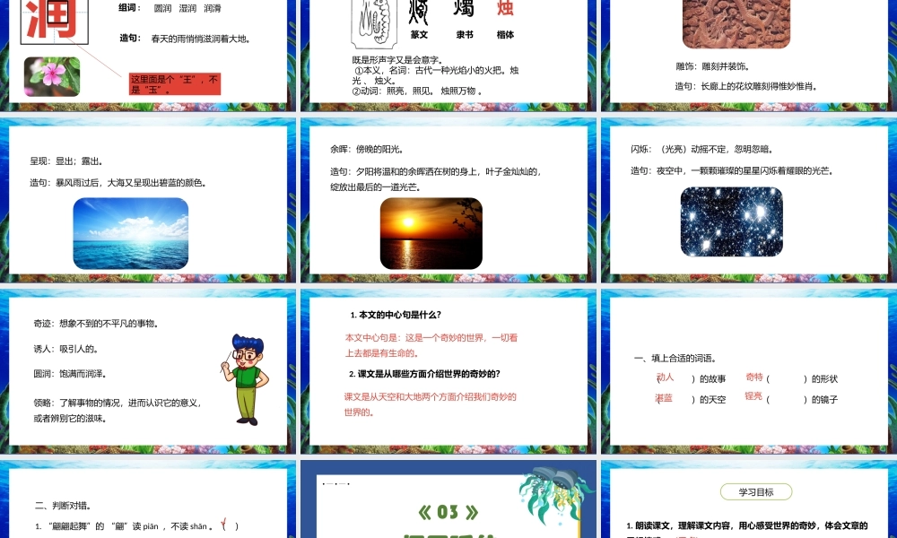 2022我们奇妙的世界PPT第22课小学三年级语文下册部编人教版教学课件 (1).pptx
