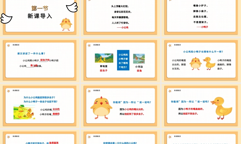 2022小公鸡和小鸭子PPT卡通简洁人教版小学一年级语文下册第二章第5课课件（含配套教案）.pptx