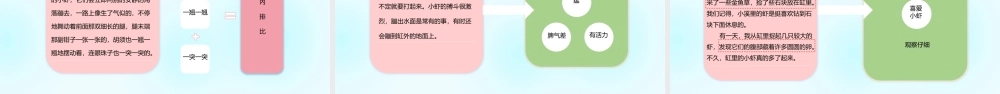 2022小虾PPT第15课小学三年级语文下册部编人教版教学课件 (1).pptx