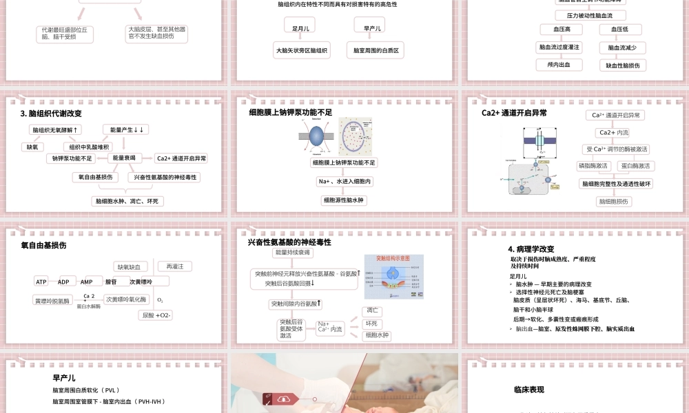 2022新生儿缺氧缺血性脑病PPT创意清新医疗教学各种疾病医理PPT模板.pptx