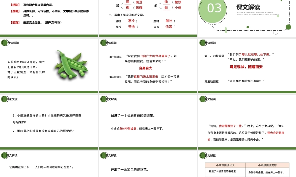 2022一个豆荚里的五粒豆PPT第5课小学四年级语文上册部编人教版教学课件.pptx
