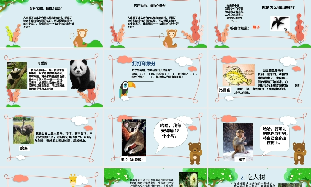 2022有趣的动物PPT卡通可爱口语交际小学二年级语文上册人教版教学课件.pptx