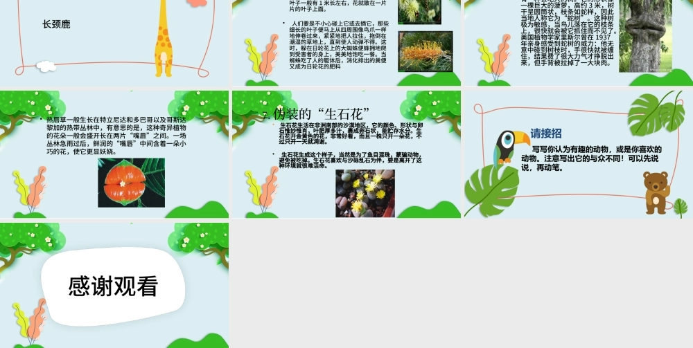 2022有趣的动物PPT卡通可爱口语交际小学二年级语文上册人教版教学课件.pptx