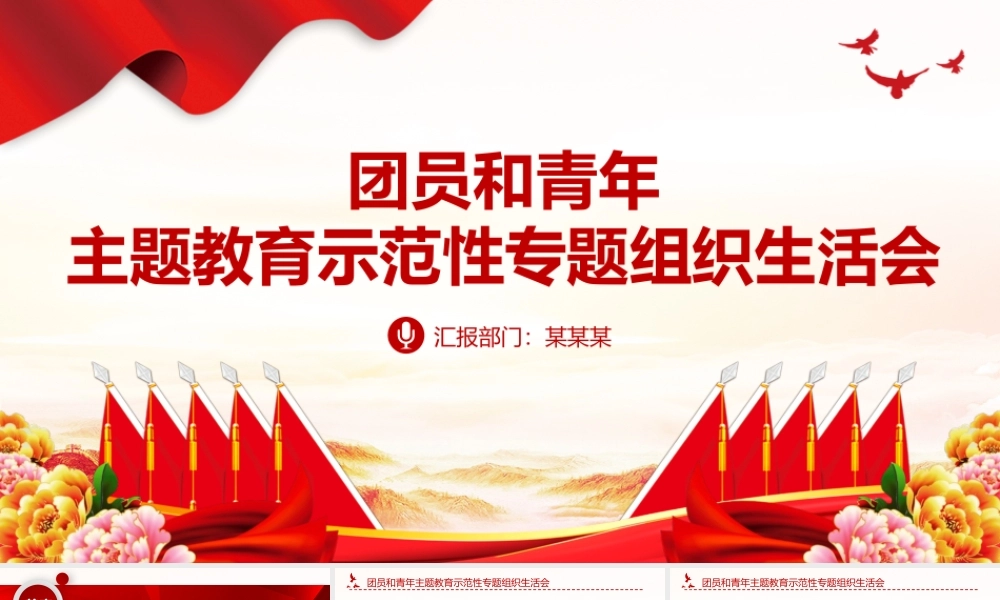 2023年度团员和青年主题教育示范性专题组织生活会PPT模板下载.pptx