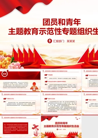 2023年度团员和青年主题教育示范性专题组织生活会PPT模板下载.pptx
