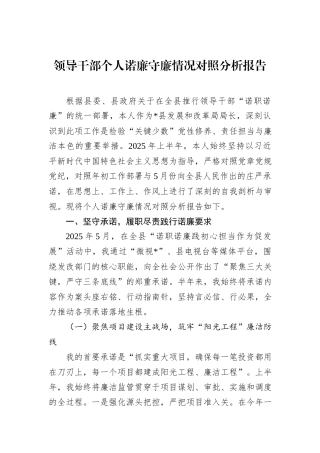 领导干部个人诺廉守廉情况对照分析报告.docx
