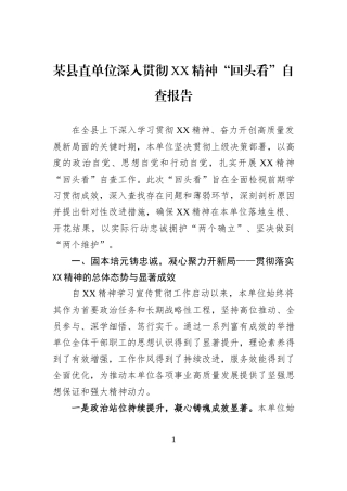某县直单位深入贯彻XX精神“回头看”自查报告.docx