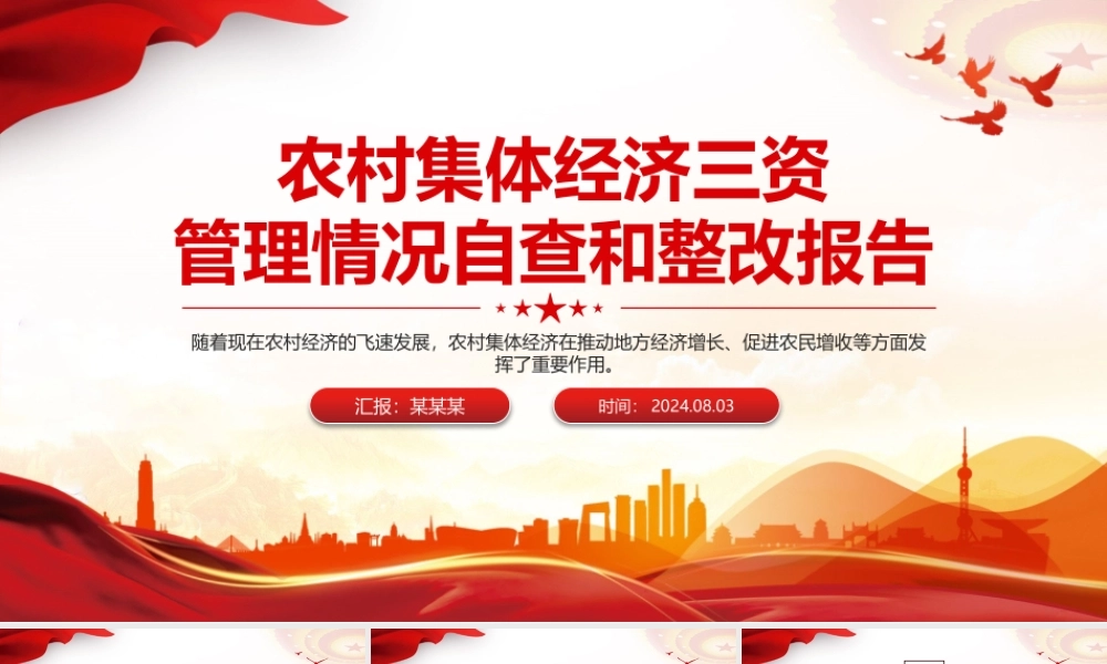 2024农村集体经济三资管理情况自查和整改报告PPT下载.pptx
