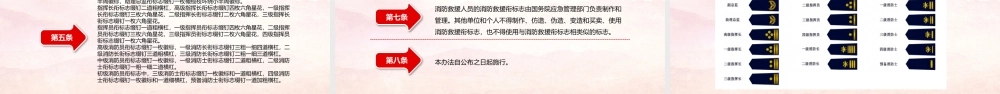 11134339_国家综合性消防救援队伍  动画 1PPT.pptx