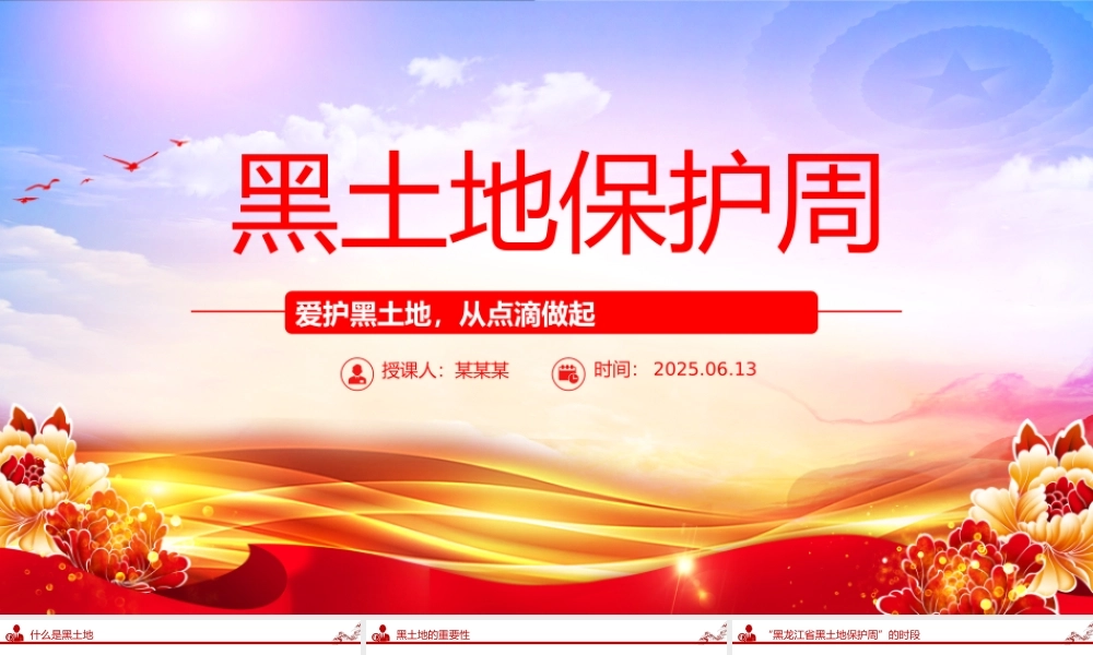 爱护黑土地从点滴做起PPT2025年黑土地保护周主题教育课件.pptx