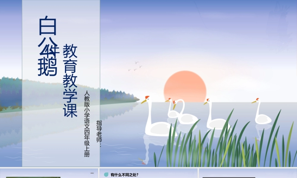 白公鹅1  尤克.pptx
