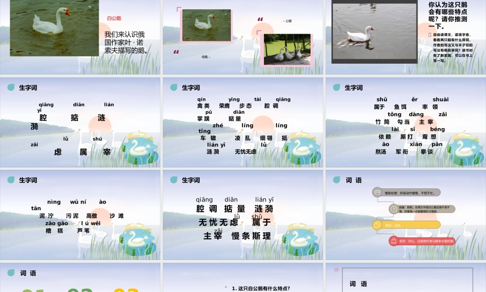 白公鹅1  尤克.pptx