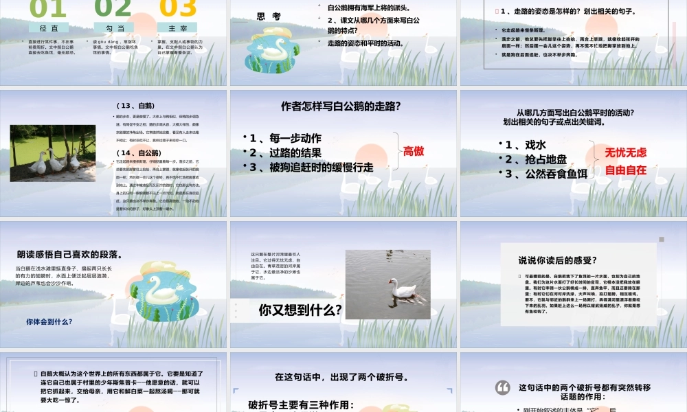 白公鹅1  尤克.pptx