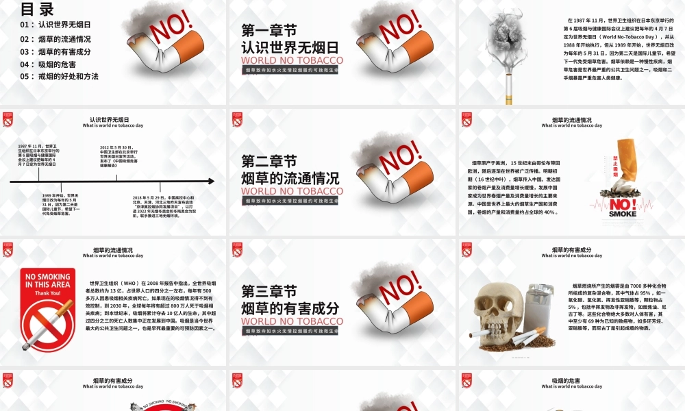 创意插画风吸烟有害健康世界无烟日科普宣传PPT课件下载.pptx