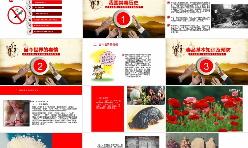 国际禁毒日禁毒委员会2016年工作总结计划PPT.pptx