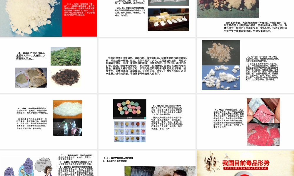 国际禁毒日禁毒委员会2016年工作总结计划PPT.pptx