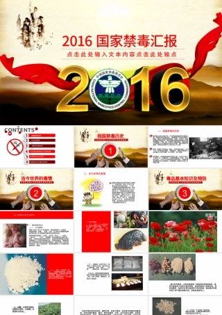 国际禁毒日禁毒委员会2016年工作总结计划PPT.pptx
