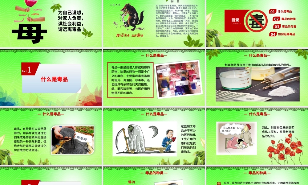 国际禁毒日远离毒品珍爱生命拒绝诱惑禁毒日PPT模板.pptx