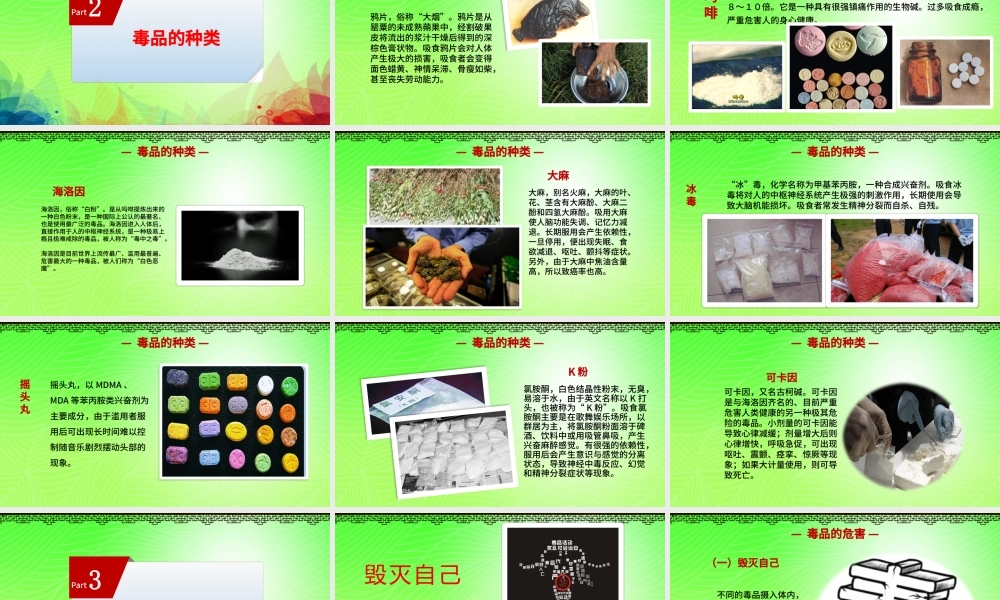 国际禁毒日远离毒品珍爱生命拒绝诱惑禁毒日PPT模板.pptx