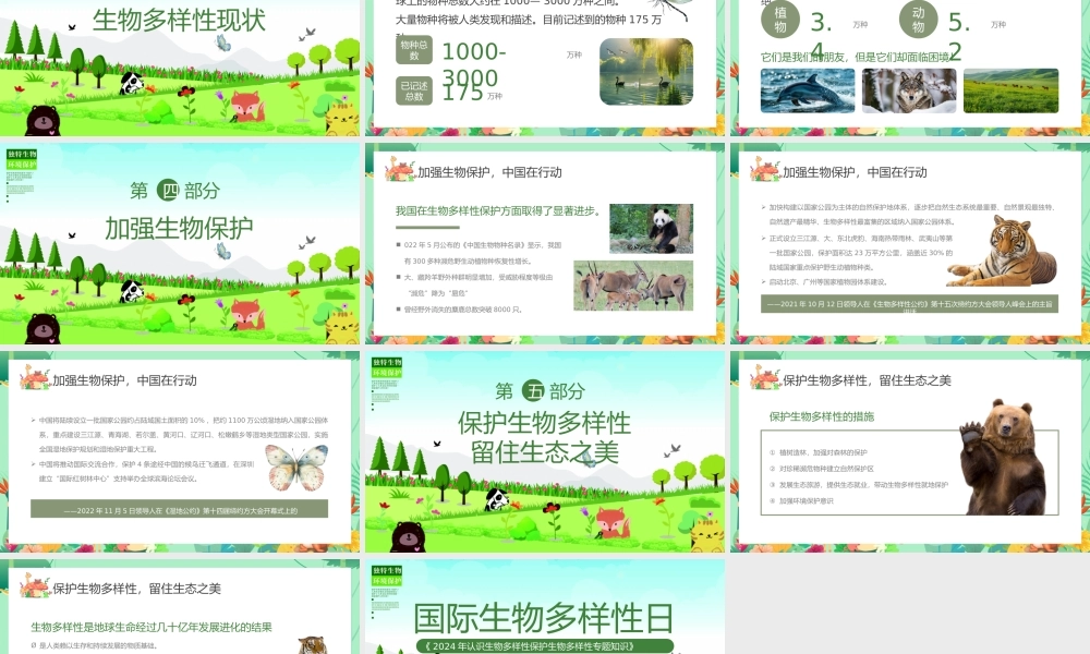 国际生物多样性日PPT简洁风《2023年认识生物多样性保护生物多样性专题知识》课件.pptx